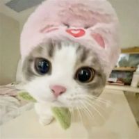 桜百貨🌸