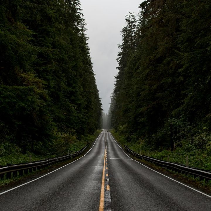 PacificNorthWest 🇺🇸🇺🇸