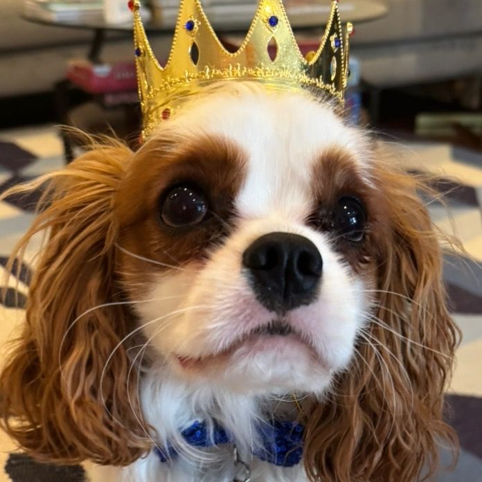 Prince Chi-Chi