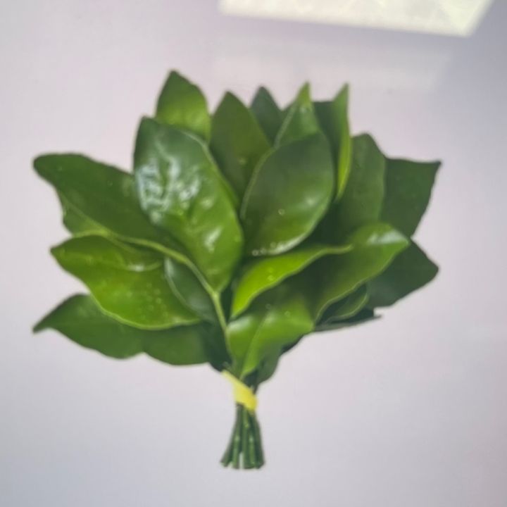 arlenediaz209974