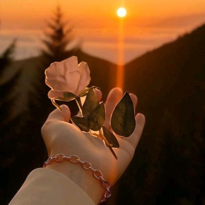 ♕♡⚘𝘋𝘦𝘴𝙞𝘭𝙞𝗳𝘦⚘♡♕