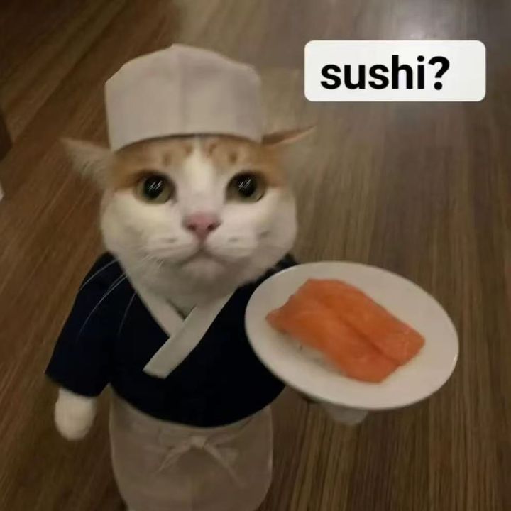 寿司食べる？