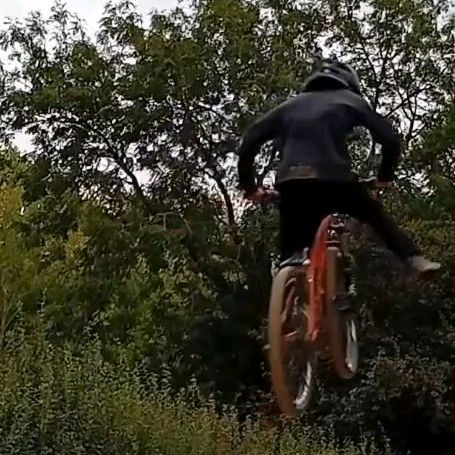 finn_air