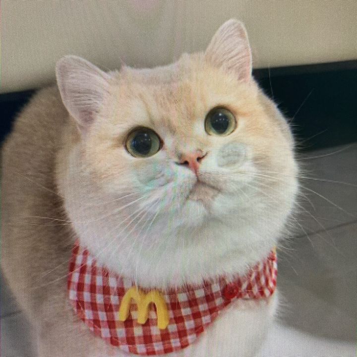 xmmgzdnbke668428