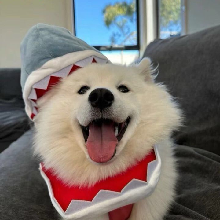 claracunningham976167
