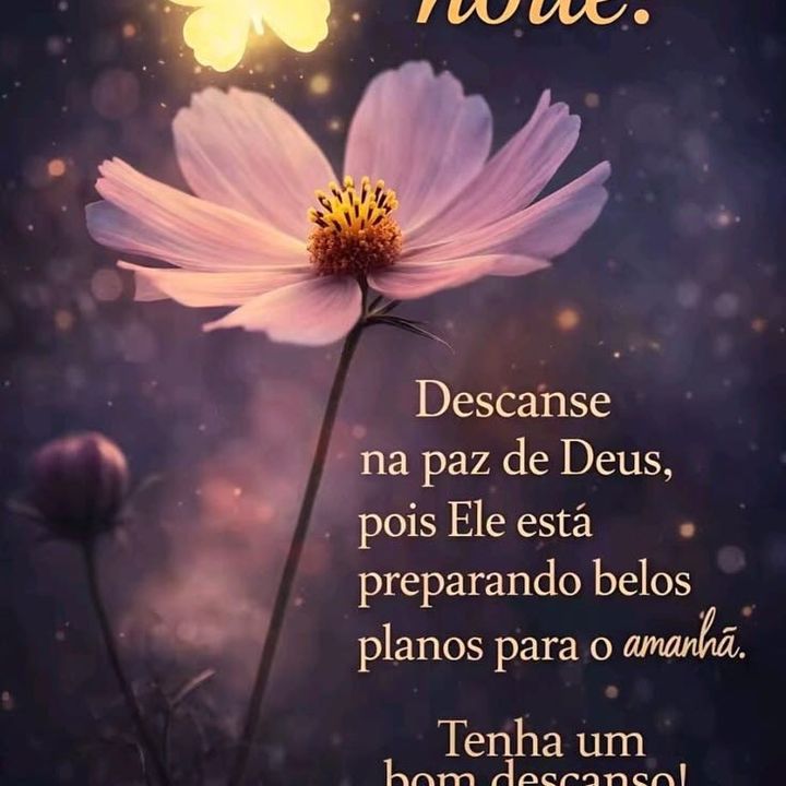 Achadinhos_Do_Dia