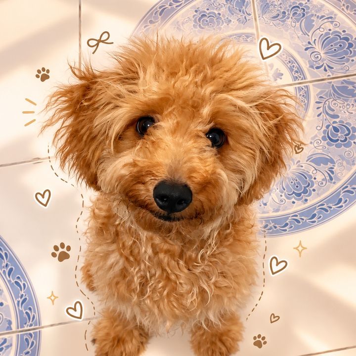 Cola 🐶