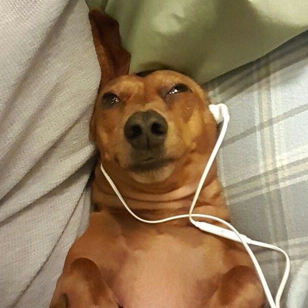 1MinASMR