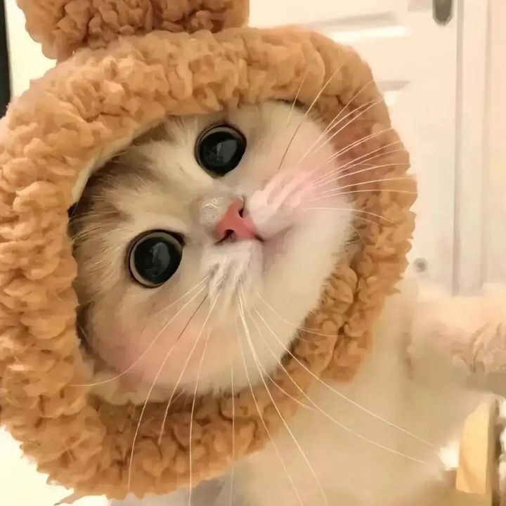 ouzxxrniuiy0448