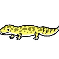 レオパルド
