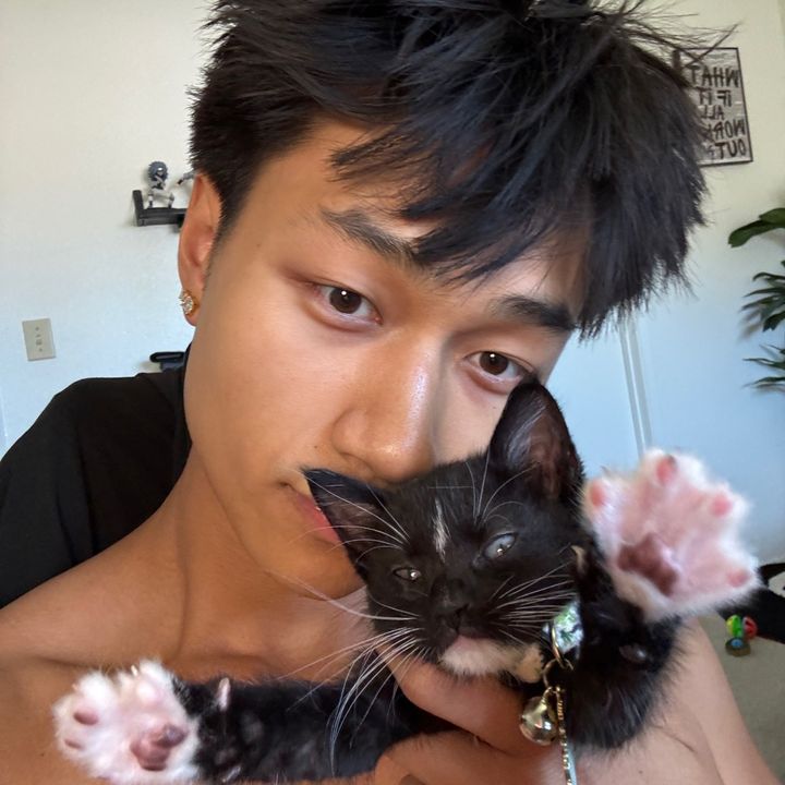 vannkitty