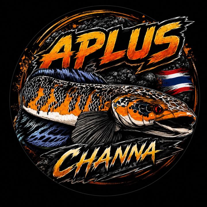 APLUS1️⃣8️⃣5️⃣7️⃣