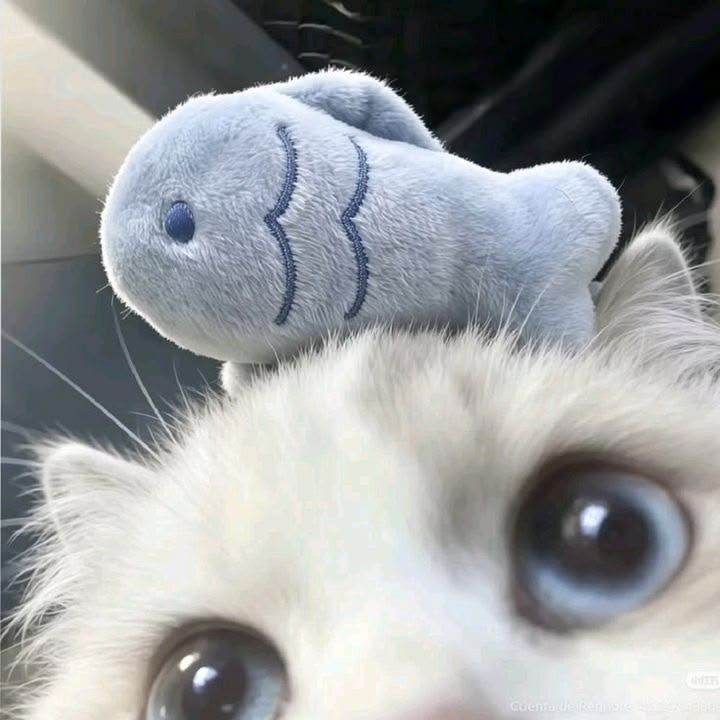💎
