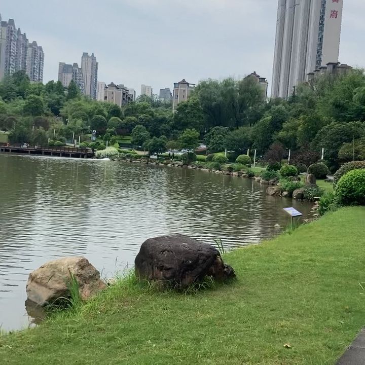 baobaodandan0