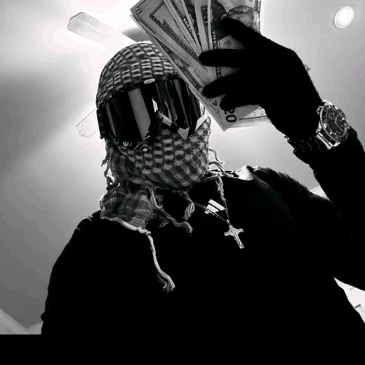 ptz_pdriz