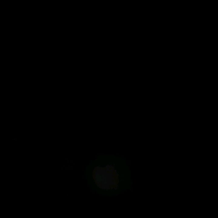 username