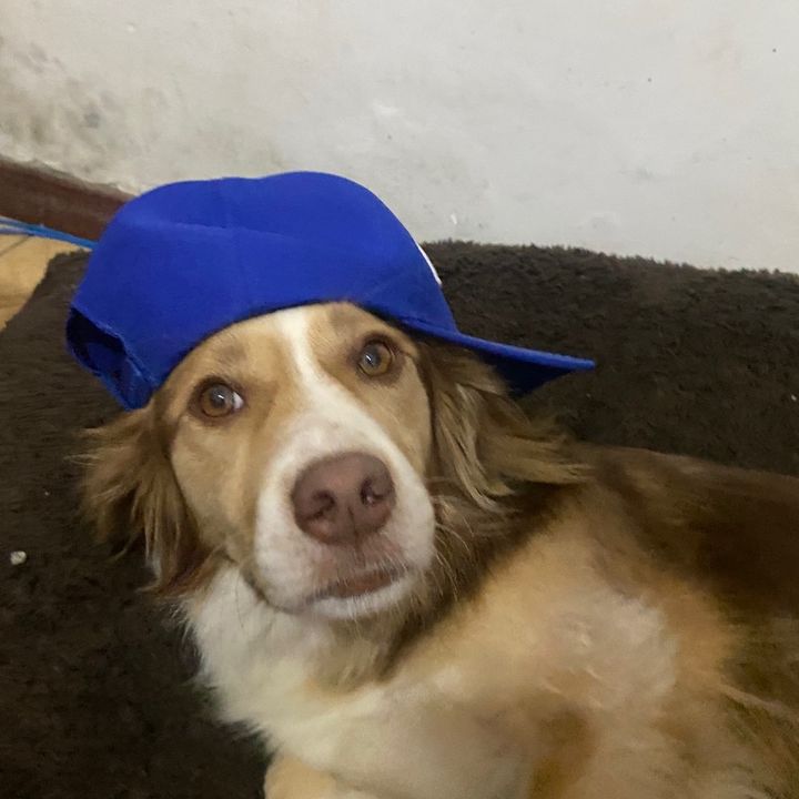 jogando coisas pro alto