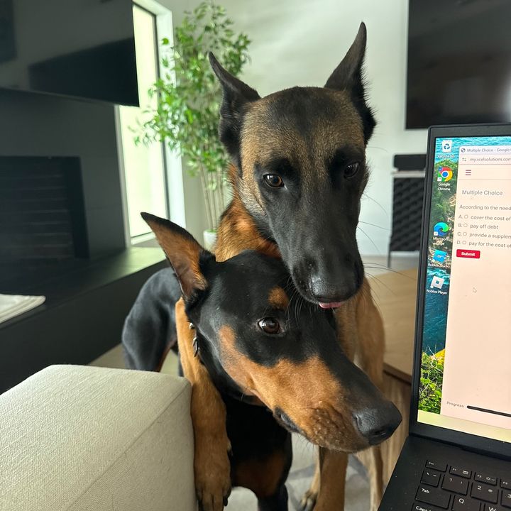 reign & zuko