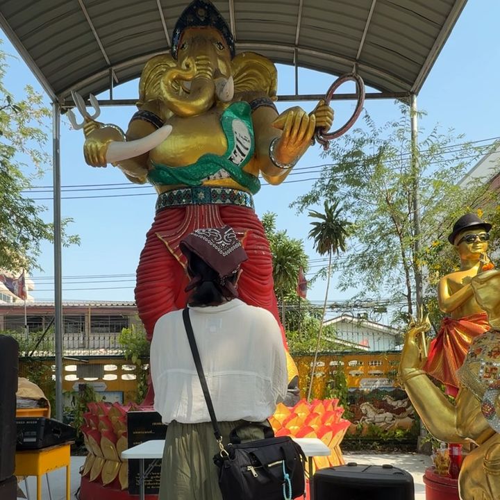 ตำลึงมูทูเดย์ สำรอง