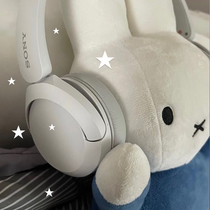 ᯓ★ Bunny ݁ ˖Ი𐑼⋆