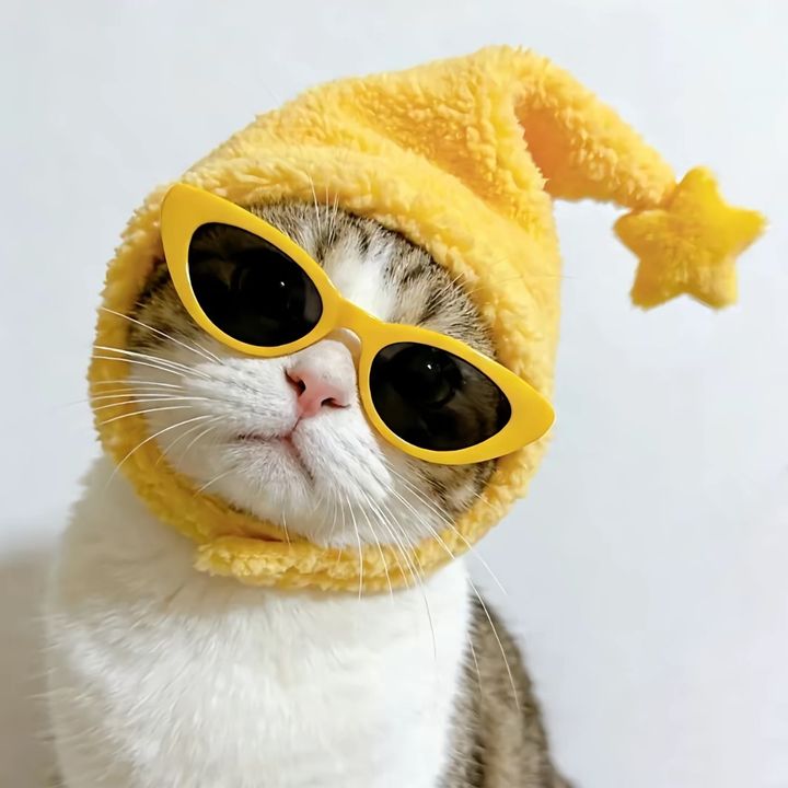 Breezeg