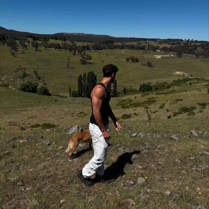 Ace