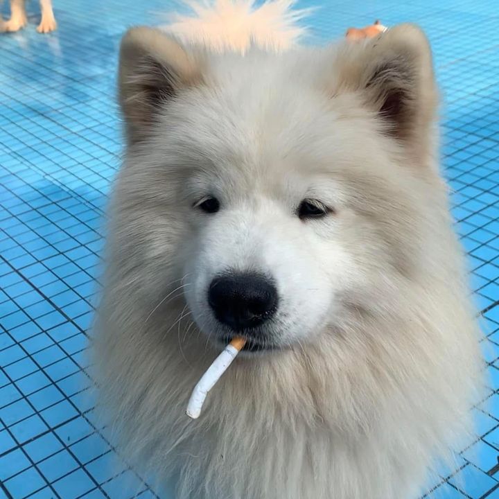 Phương Huỳ và sấp nhỏ❤️