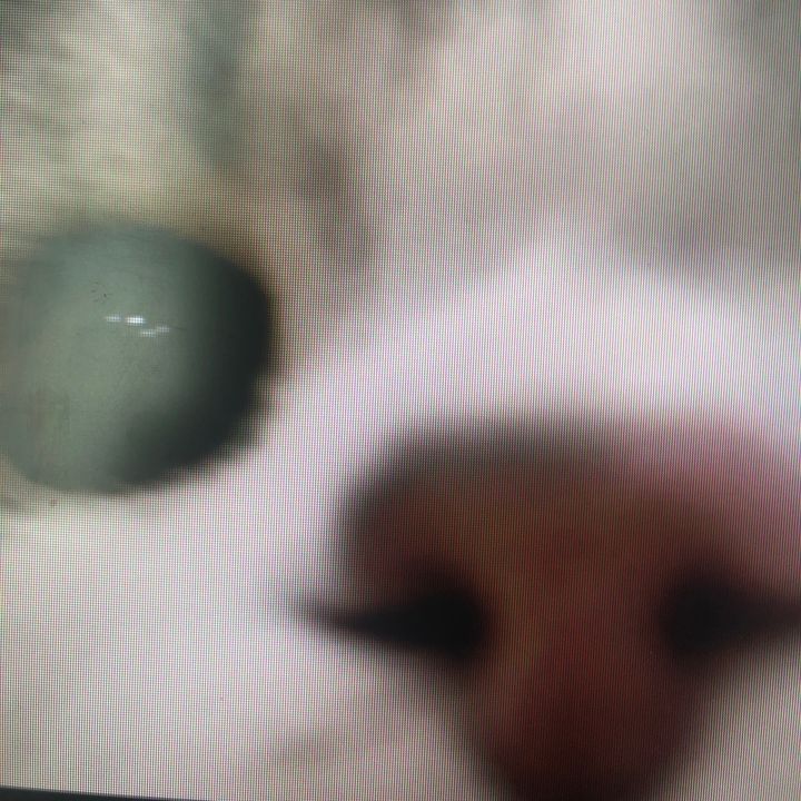 tyrellgeng