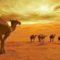 Samori World