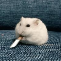 bunnyxcpf3e
