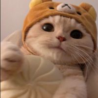 charlwgttoy