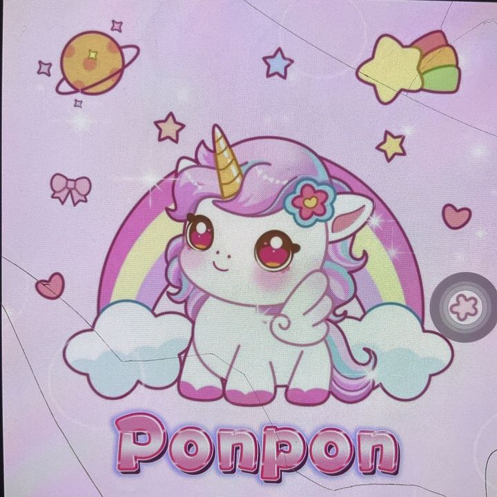 Ponpon craft