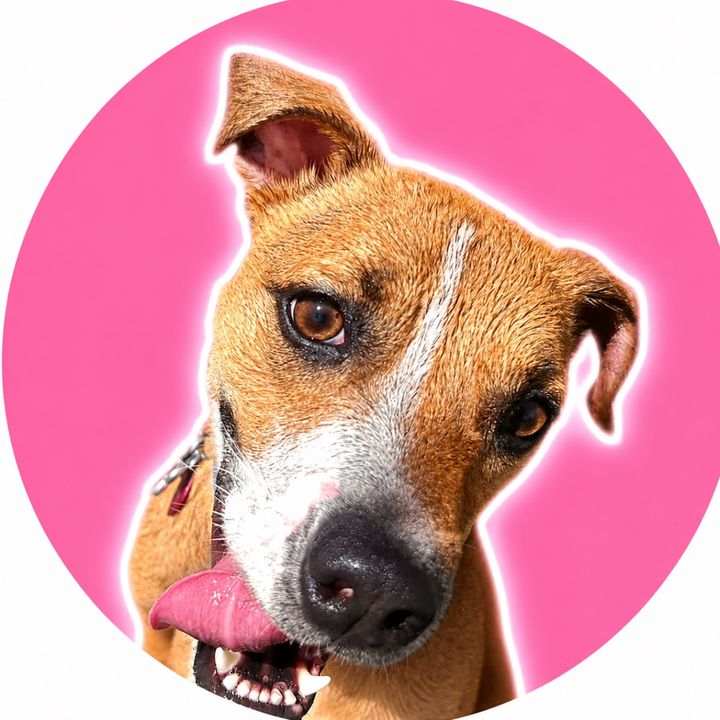 🐶 Pookie Pup | TTS 🛍️✨