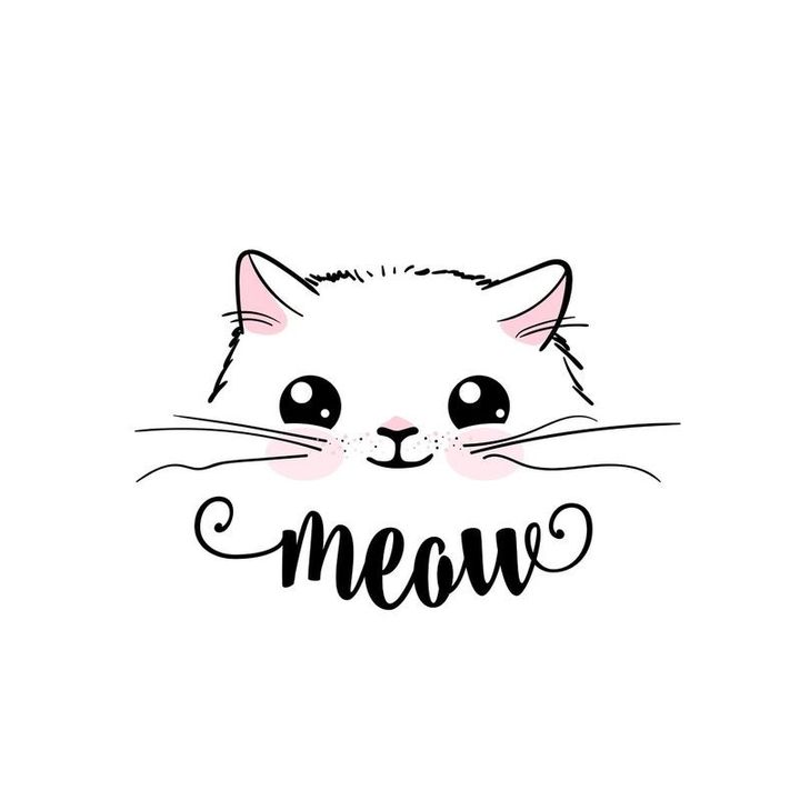 Meowww 🐈