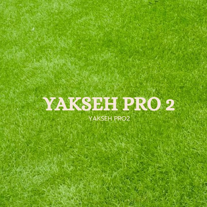 YAKSEH PRO 2