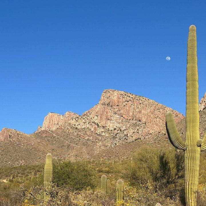 ArizonaUnreal