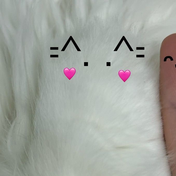 さちここ