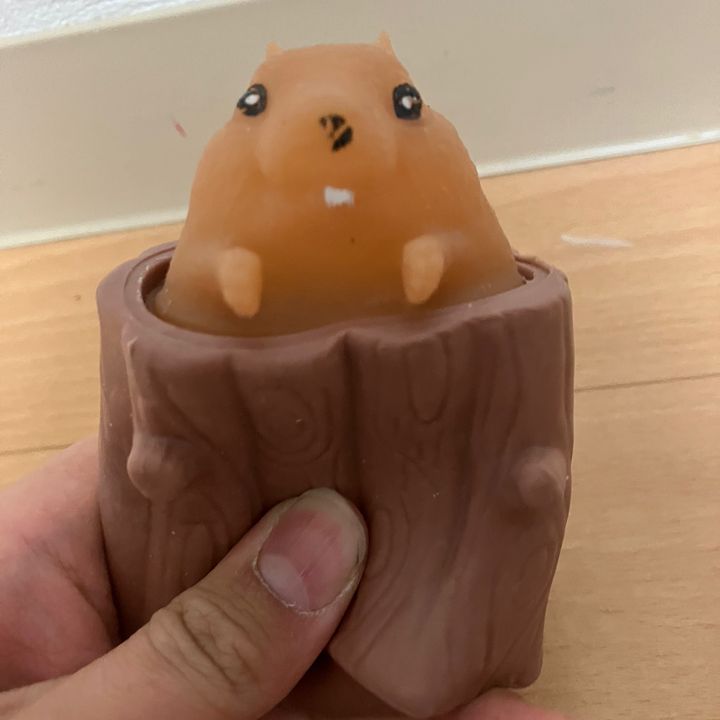 ハム・スケンタロー🐹