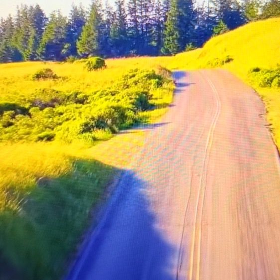 hildalsx