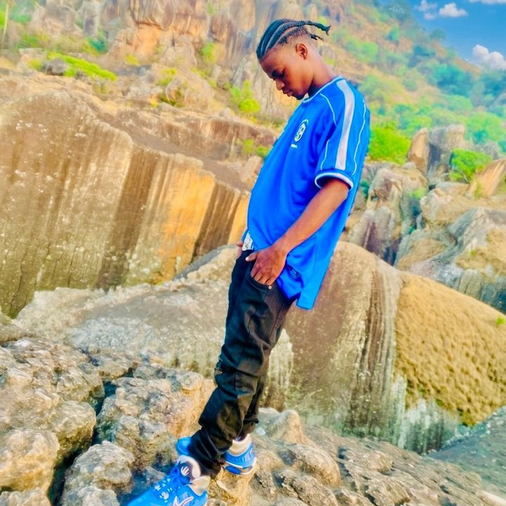 Ibro 224 officiel