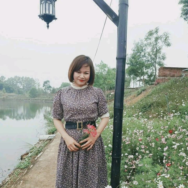 gia dụng nhà nắng