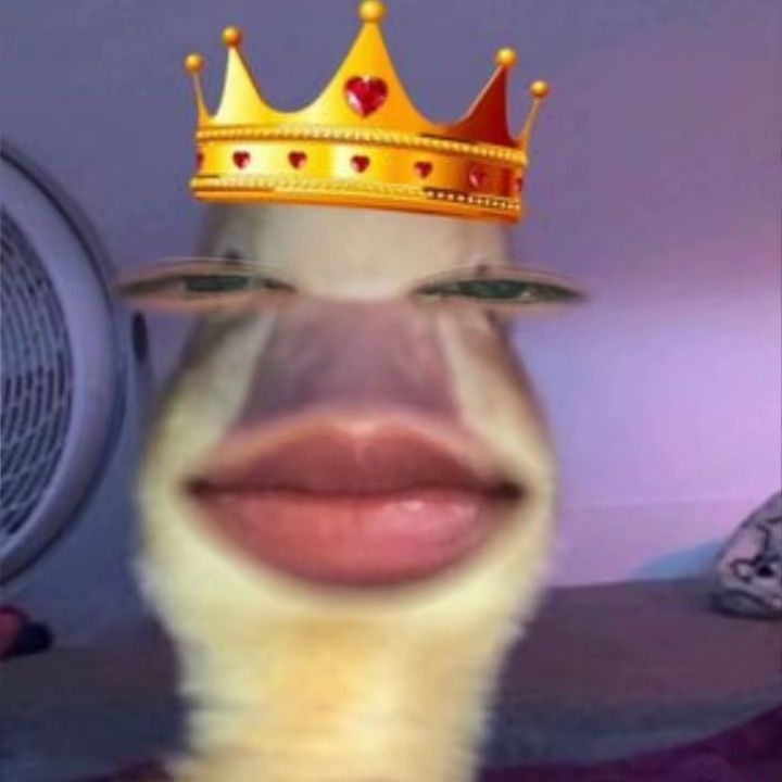 Ayna