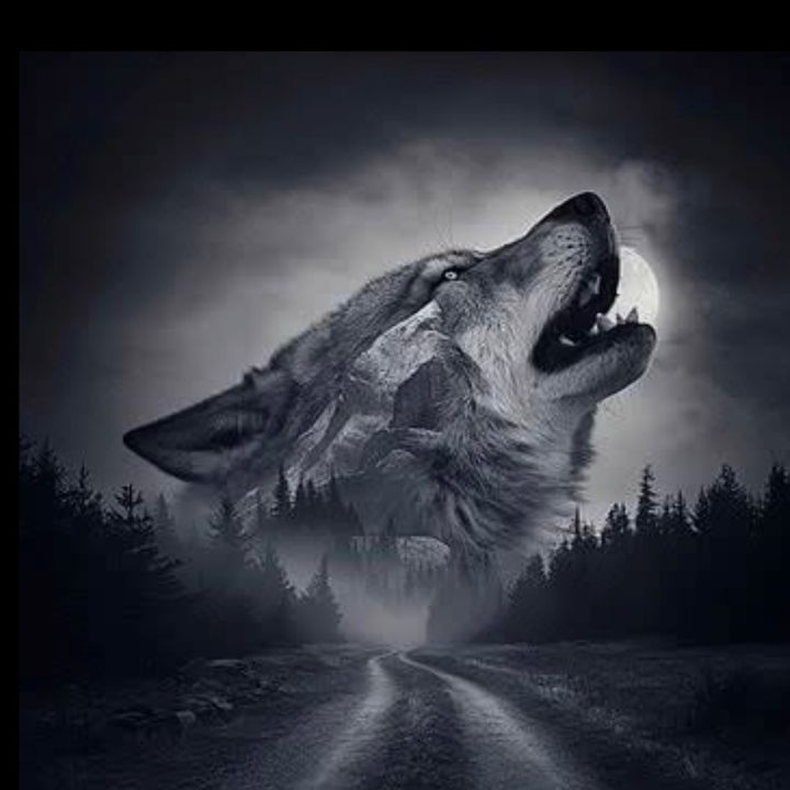 Inconnu