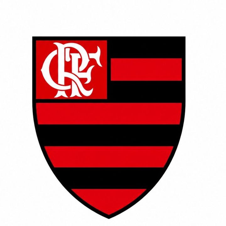Torcida do Flamengo Fã