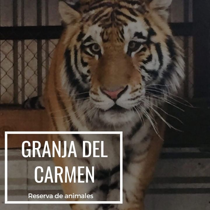 Granja Del Carmen | Parral