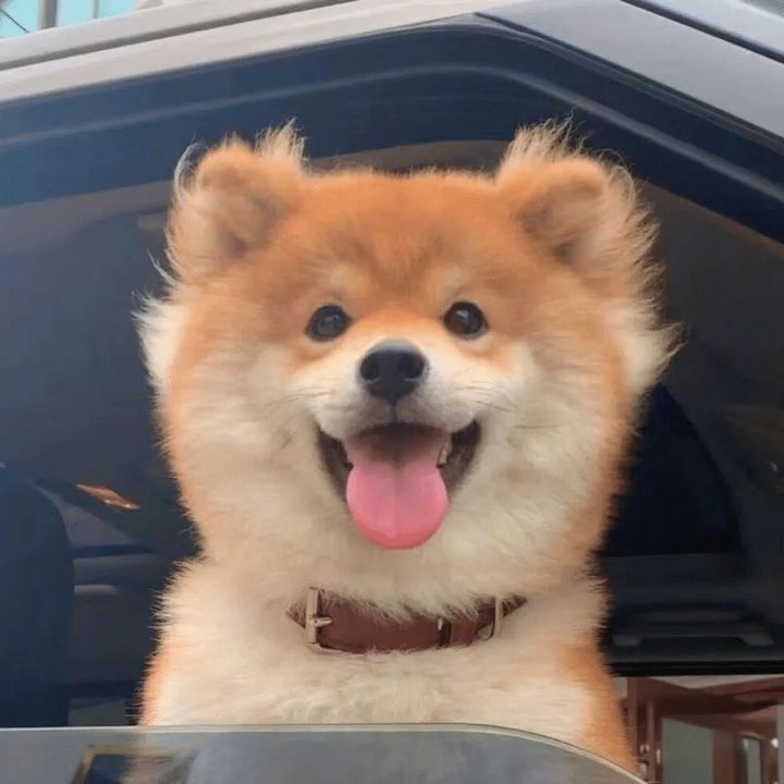 QWI