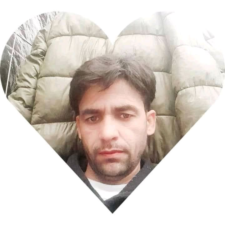 Azar Gull
