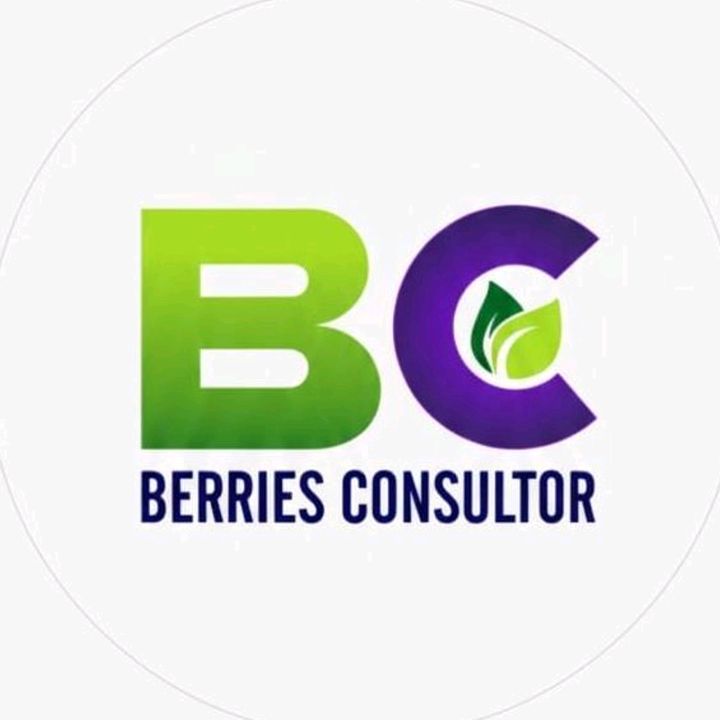 Berries Consultor