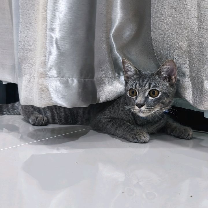 🛍️ขายแต่ของถูก🛍️