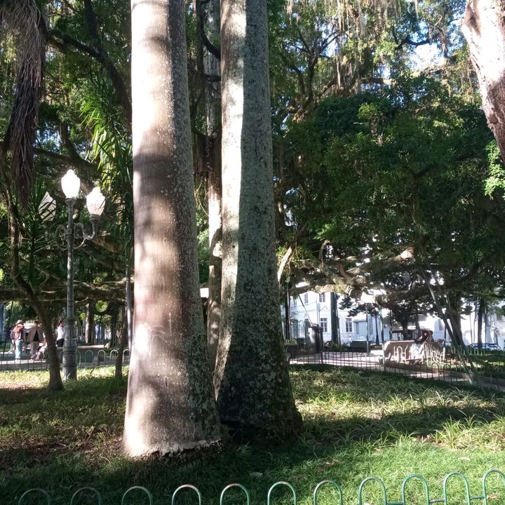 Lima